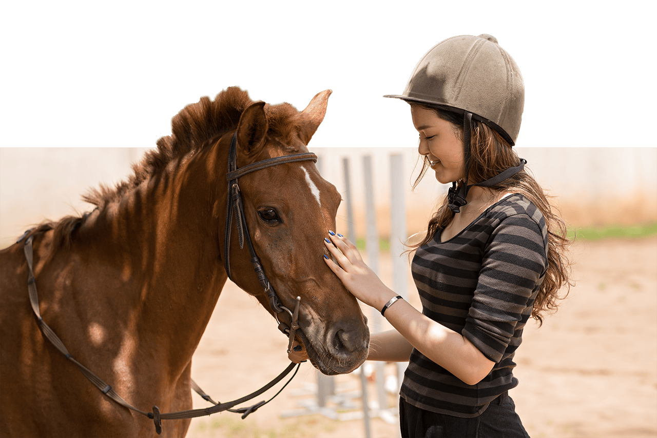 Equine program benefits