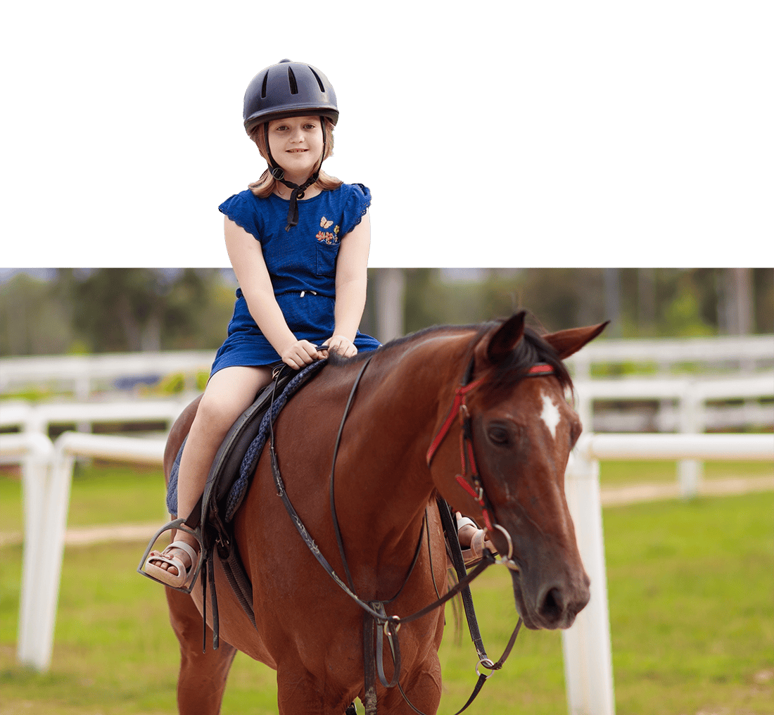 Equine therapy program dcch
